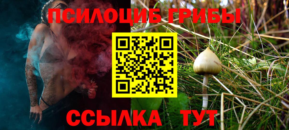где купить   Галлюциногенные грибы Cubensis  Вход с VPN  Нарткала 