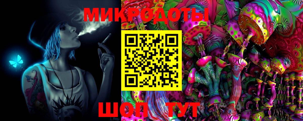 Псилоцибиновые грибы Psilocybe Нарткала